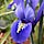 DSCN0930
