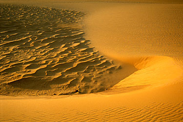 Edge - The Tenere, Niger, Jan. 2003