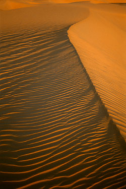 Dune - Idehan Ubari, Libya, Dec. 2002